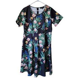 Eloquii Fit and Flare Dress in Green Envy Floral Plus Size 18
